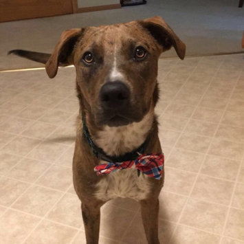 Photo uploaded to #FurryFriends by Kylie J.
