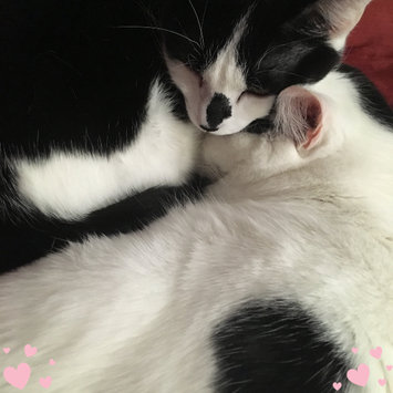 Photo uploaded to #FurryFriends by Nicole P.