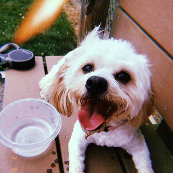 Photo uploaded to #FurryFriends by Ashley W.