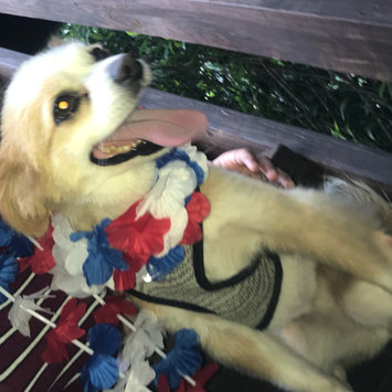 Photo uploaded to #FurryFriends by Cayleen C.
