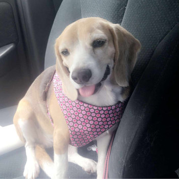 Photo uploaded to #FurryFriends by Shannon E.