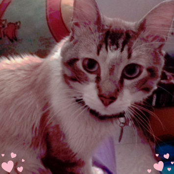 Photo uploaded to #FurryFriends by Seleene S.