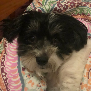 Photo uploaded to #FurryFriends by Madlen N.
