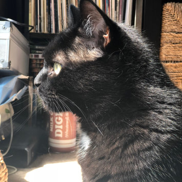 Photo uploaded to #FurryFriends by Gemma W.