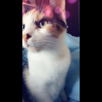 Photo uploaded to #FurryFriends by Maria Elena L.