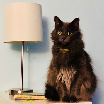 Photo uploaded to #FurryFriends by Eveline R.