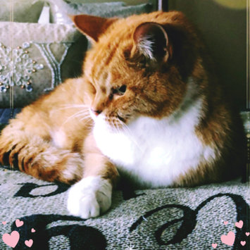 Photo uploaded to #FurryFriends by Madison B.