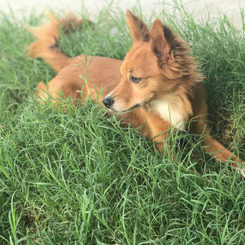 Photo uploaded to #FurryFriends by Jessica S.