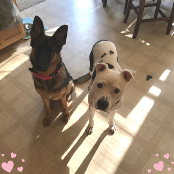 Photo uploaded to #FurryFriends by Jamie T.