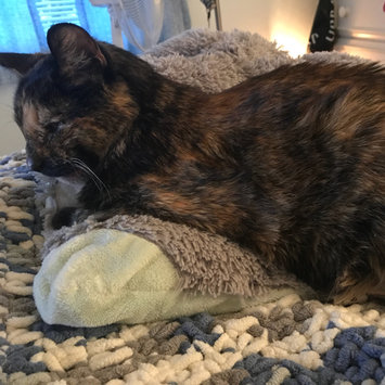 Photo uploaded to #FurryFriends by Dana R.