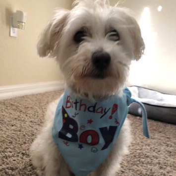 Photo uploaded to #FurryFriends by Kassandra P.