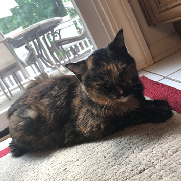 Photo uploaded to #FurryFriends by Dana R.