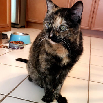 Photo uploaded to #FurryFriends by Dana R.