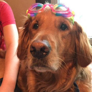 Photo uploaded to #FurryFriends by Carissa C.
