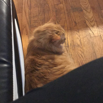 Photo uploaded to #FurryFriends by Monique H.