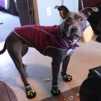Photo uploaded to #FurryFriends by Lauren L.