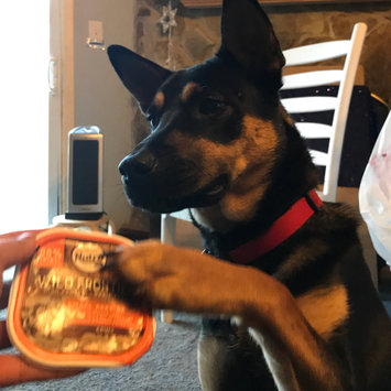 Photo uploaded to #FurryFriends by Nicole G.