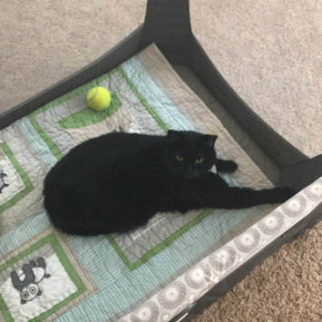 Photo uploaded to #FurryFriends by Michelle K.
