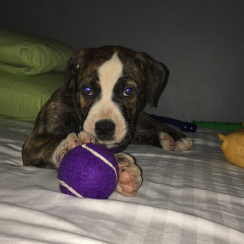 Photo uploaded to #FurryFriends by Ariel M.