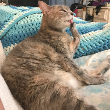 Photo uploaded to #FurryFriends by Dana R.