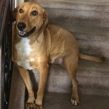 Photo uploaded to #FurryFriends by Christine N.