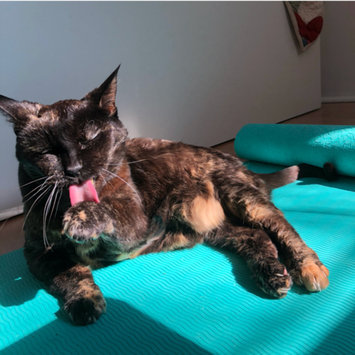 Photo uploaded to #FurryFriends by Maia O.