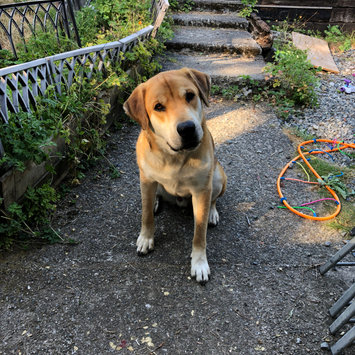 Photo uploaded to #FurryFriends by Darcie-Lee D.
