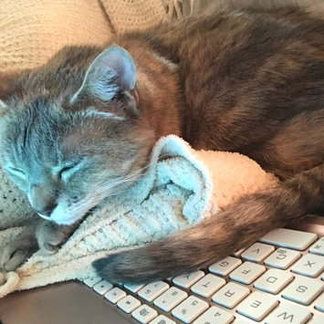 Photo uploaded to #FurryFriends by Dana R.