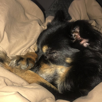 Photo uploaded to #FurryFriends by Grace G.