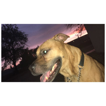 Photo uploaded to #FurryFriends by Dakota H.