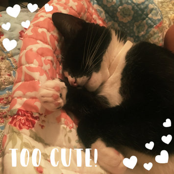 Photo uploaded to #FurryFriends by Grace P.