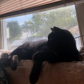 Photo uploaded to #FurryFriends by Evelyn❤️ Y.