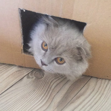 Photo uploaded to #FurryFriends by Defne Ö.