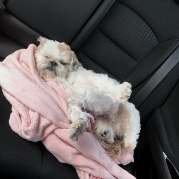 Photo uploaded to #FurryFriends by Bertha J.
