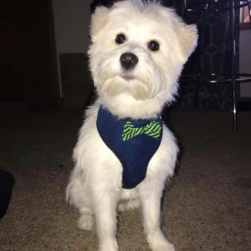 Photo uploaded to #FurryFriends by Teria L.