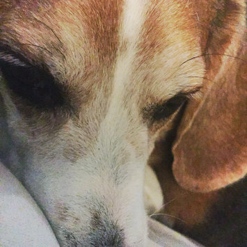 Photo uploaded to #FurryFriends by Charis K.