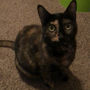 Photo uploaded to #FurryFriends by Taylor M.