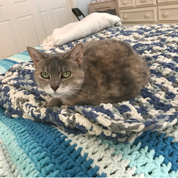 Photo uploaded to #FurryFriends by Dana R.