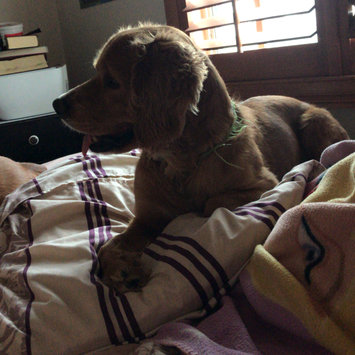 Photo uploaded to #FurryFriends by Ines A.