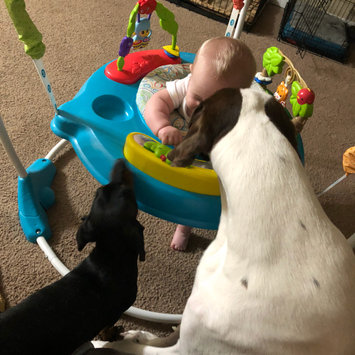 Photo uploaded to #FurryFriends by Deanna F.