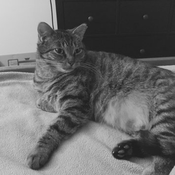 Photo uploaded to #FurryFriends by Tivonia B.