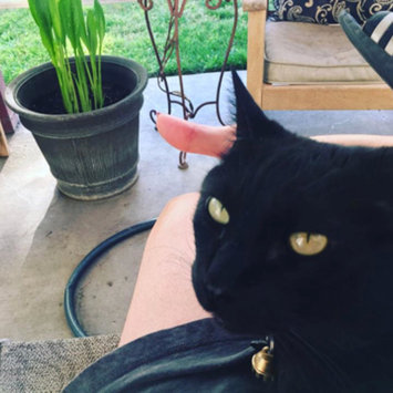 Photo uploaded to #FurryFriends by Mic L.
