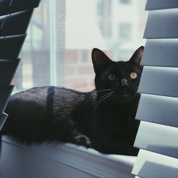 Photo uploaded to #FurryFriends by Trinity S.