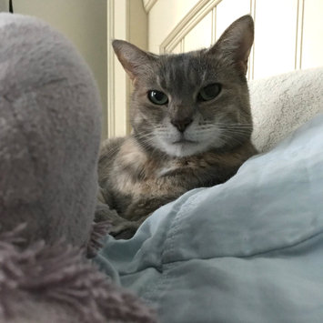 Photo uploaded to #FurryFriends by Dana R.