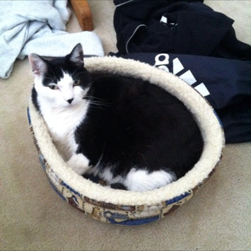 Photo uploaded to #FurryFriends by Dana R.