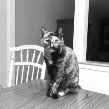 Photo uploaded to #FurryFriends by Dana R.