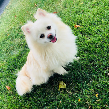 Photo uploaded to #FurryFriends by Ericka B.