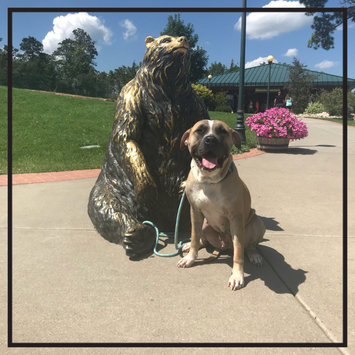 Photo uploaded to #FurryFriends by Rachelle F.