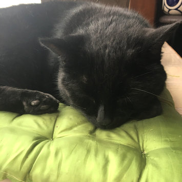 Photo uploaded to #FurryFriends by Mélissa T.