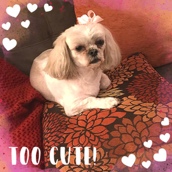 Photo uploaded to #FurryFriends by Petrina B.